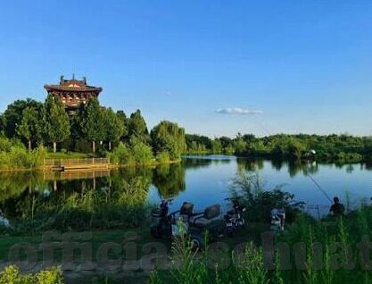 2021国产麻豆传媒-2021年国产麻豆传媒的多维度瞭望与观察