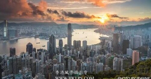 大象视频网站入口下载-探索大象视频，一站式娱乐的便捷入口