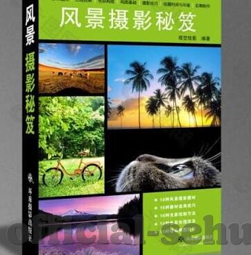 果冻传媒国产网站-探索果冻传媒国产网站，文化与创意的交汇点