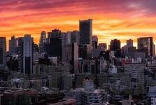 榴莲视频app麻豆-榴莲与麻豆，探索内容平台多样性的趣味之博