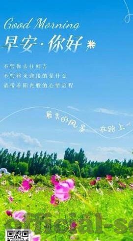 麻豆黄app18禁-麻豆黄app18禁的误解与网络安全的必要性