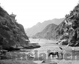 日韩av无码麻豆-漫谈日韩AV中的无码麻豆现象及其文化背景