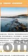 糖心黄台app下载安装-应用的合法与道德边界
